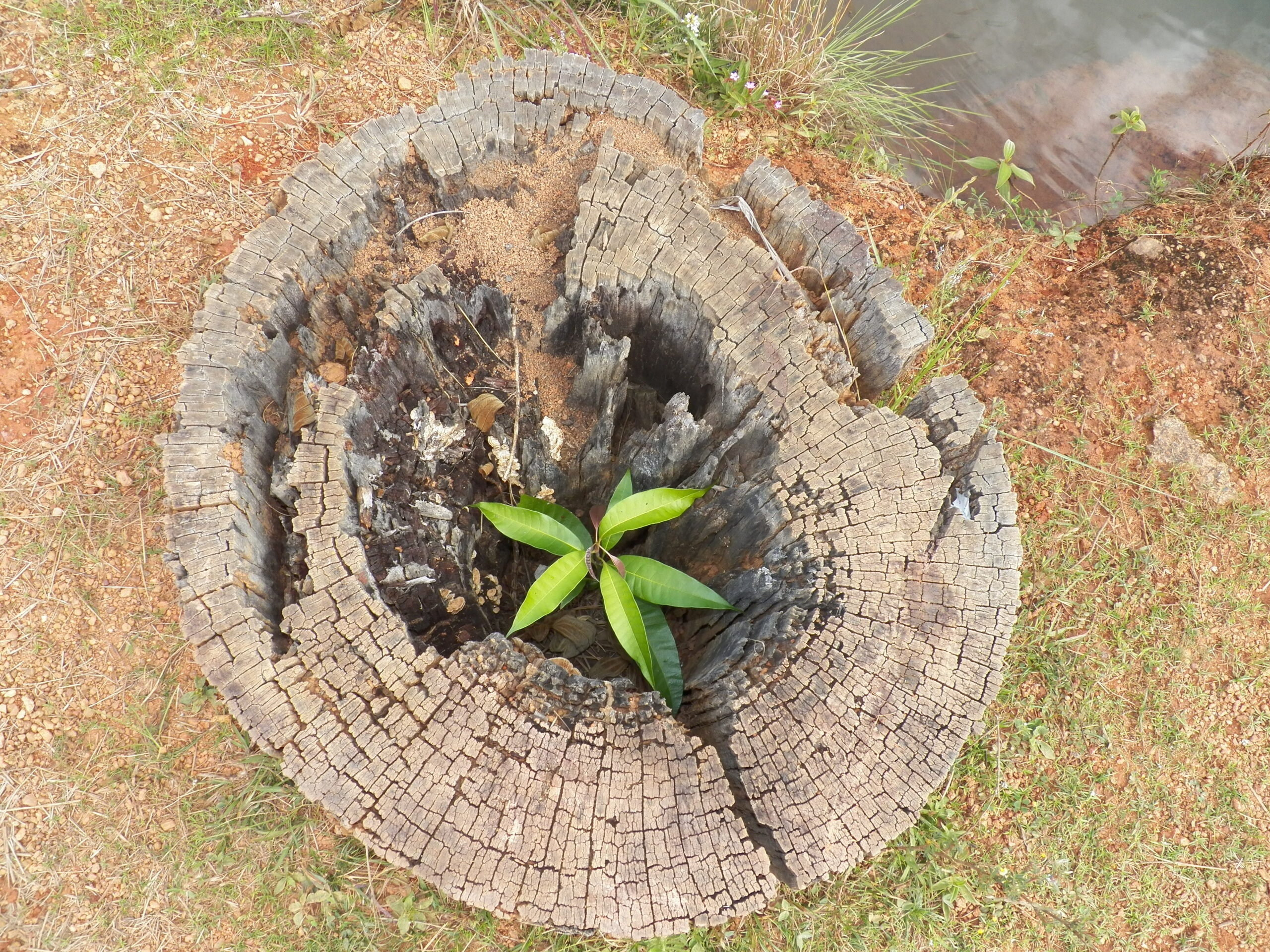 foto em moldura (10001)